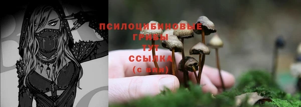 стафф Вязьма