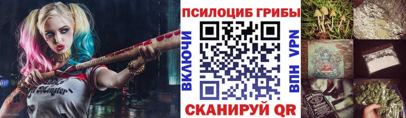 Купить где  Чухлома  Псилоцибиновые грибы Psilocybe 